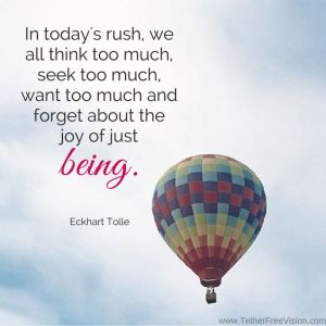 fb7f8751f4a68e0e78d8b1303e55167b